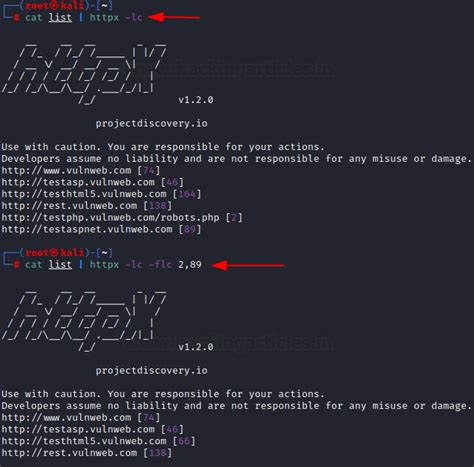 A Detailed Guide on httpx