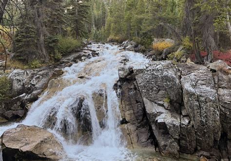 Lily Pond and Redfish Lake Creek Falls trail - Sawtooth National Forest ...