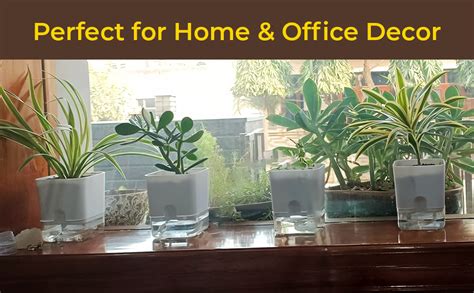 Casa De Amor Self Watering Pots for Indoor Plants | Home Decor, Living ...