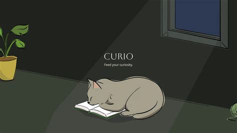 The 3 Best Alternatives to Pocket After It Goes Away - Arya FrouzaanFar