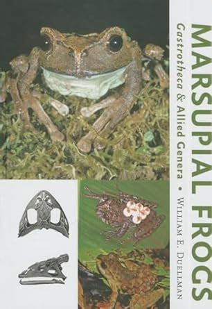 Buy Marsupial Frogs: Gastrotheca and Allied Genera Book Online at Low ...