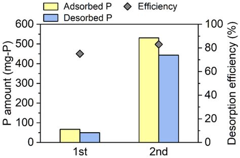 Phosphorus Recovery by Adsorption from the Membrane Permeate of an ...