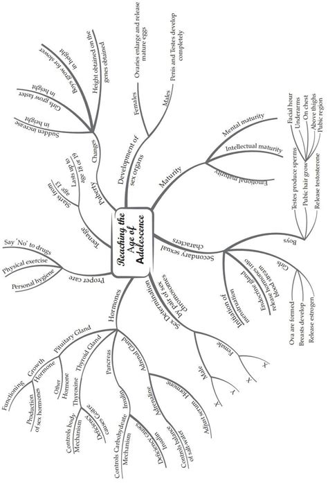 Mindmap of lesson 5 sound in physics of class 8. Please tell me I want ...