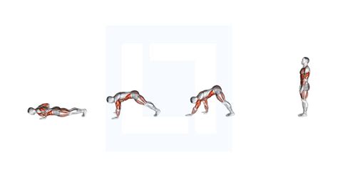 Image result for Push Back Push-Up
