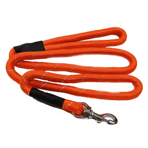 Dog Leash, Leash For Dogs, Puppy Leash Small & Heavy Dogs — CITY PET