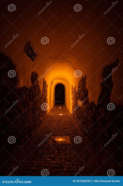 Protected Lightbulb Stock Photos - Free & Royalty-Free Stock Photos ...