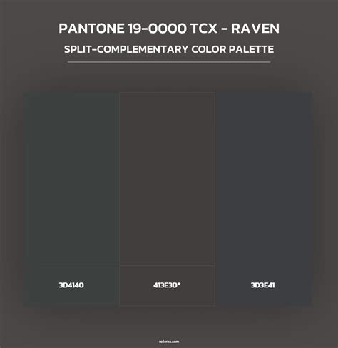 PANTONE 19-0000 TCX - Raven color palettes - colorxs.com