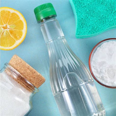 Four Easy Steps to Sustainable living - with Daily Dump