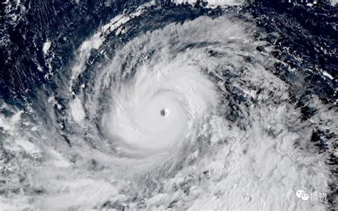 台风的名字是怎么起的(台风如何命名，又因何被除名？) | 说明书网