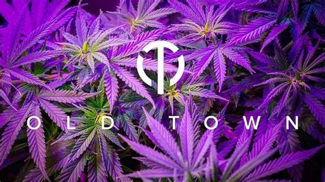 THE OT DISPENSARY (2026) All You Need to Know BEFORE Going (with Photos)
