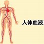Image result for 脾胃