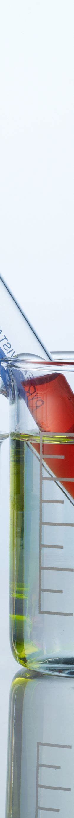 Controls in an Experiment Examples 的图像结果