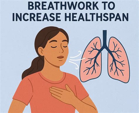 Breathwork Practices for Healthspan (Oxygen Advantage and Wim Hoff ...