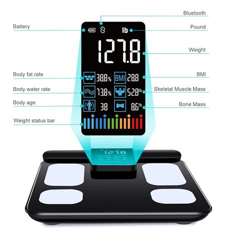 KUAIVO 8 Electrode Smart Body Fat Scale with BMI, Body Fat, India | Ubuy