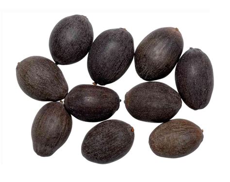 Nelumbo nucifera Gaertn. | Plants of the World Online | Kew Science