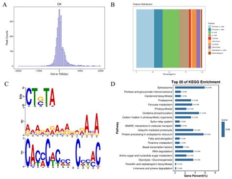Genome-Wide Identification and Functional Analysis of C2H2 Zinc Finger ...