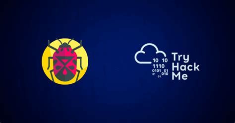 Image result for Types of Vulnerabilities Try Hack Me