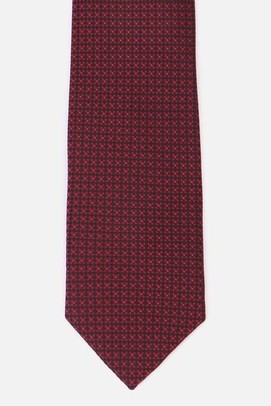 Buy Men Red Embroidered Tie Online - 928274 | Louis Philippe
