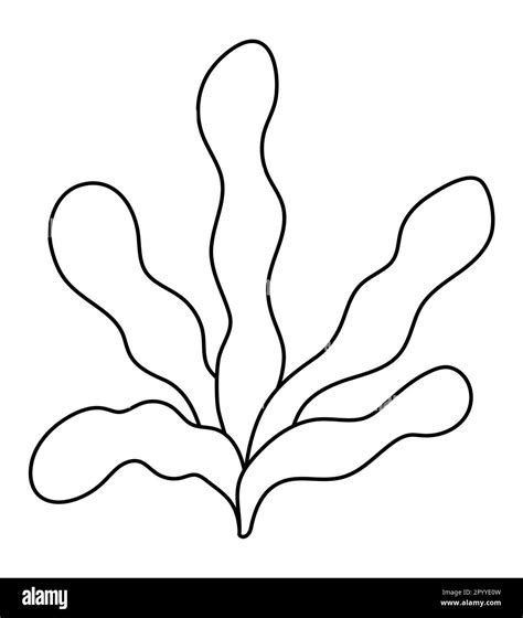 Vector black and white seaweeds icon. Under the sea line illustration ...