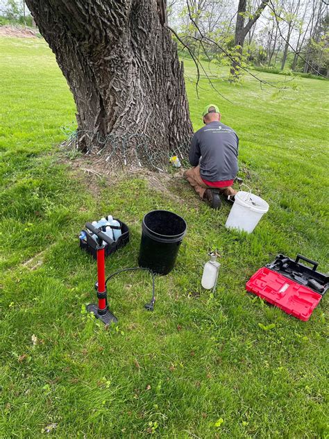 Image result for Telehandler Tree Care