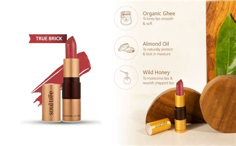 Buy SoulTree Ayurvedic Lipstick - True Brick 813, 4gm | Creamy Texture ...
