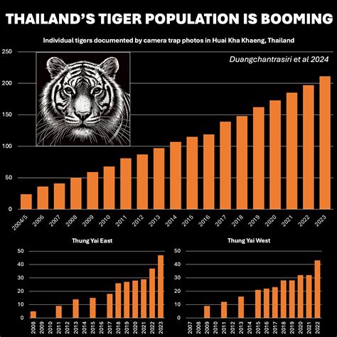 Population Of Wild Tigers
