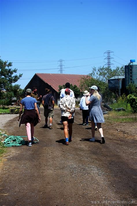 Image result for String Farm