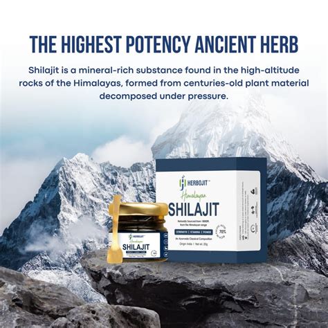 Herbojit Himalayan Shilajit Resin | 20g Authentic Shilajit | Boost ...