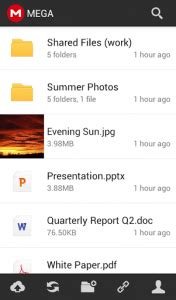 Image result for Mega App Android