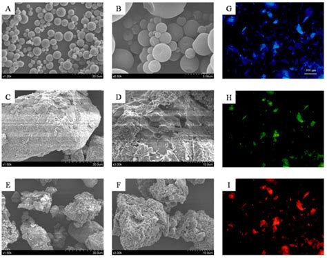 The Manufacturing Process of Kiwifruit Fruit Powder with High Dietary ...