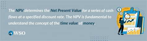 Image result for NPV Examples