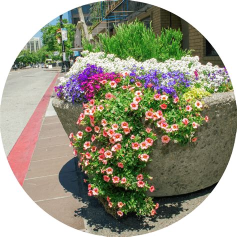 Local Development Works 的图像结果