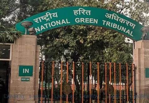 NGT Pulls Up Authorities over Delay in Action on Illegal Tree Felling ...
