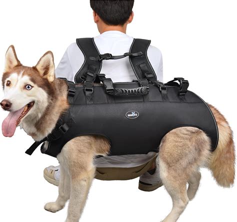 Wakytu Dog Backpack Carrier for Small and Large Dogs - India | Ubuy