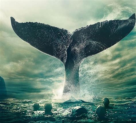 梅尔维尔鲸有多大 梅尔维尔鲸的天敌 - 天气加