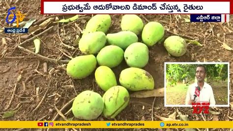 Mango Interview 的图像结果