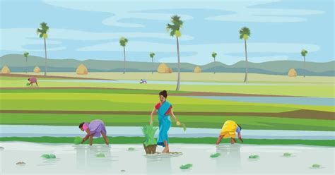 Bombay Tenancy and Agricultural Land Act: Maharashtra, 1948