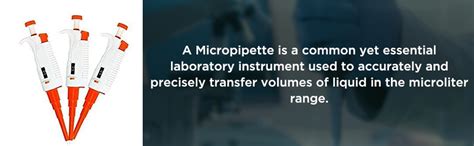 WKM 100-1000ul Micropipette Excellent Variable Volume With Calibration ...