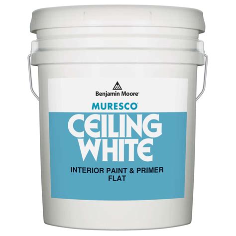Benjamin Moore Muresco Flat White Ceiling Paint Interior 5 gal. - Ace ...