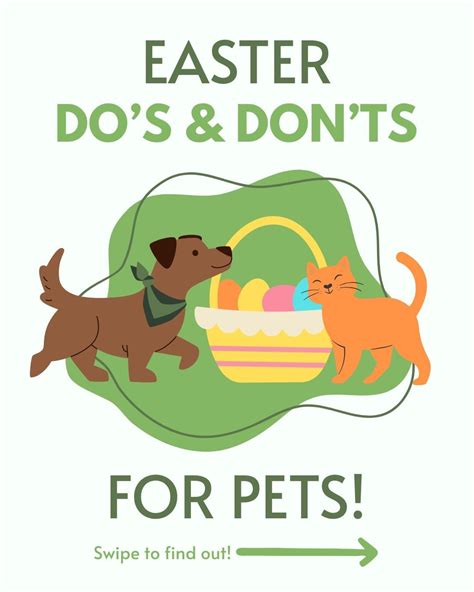 Art City Vets & Urgent Care (@artcityvets) • Instagram photos and videos