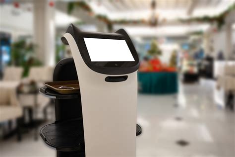 Image result for Service Robotics Store