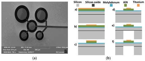 A Piezoelectric Micromachined Ultrasound Transducers (pMUT) Array, for ...