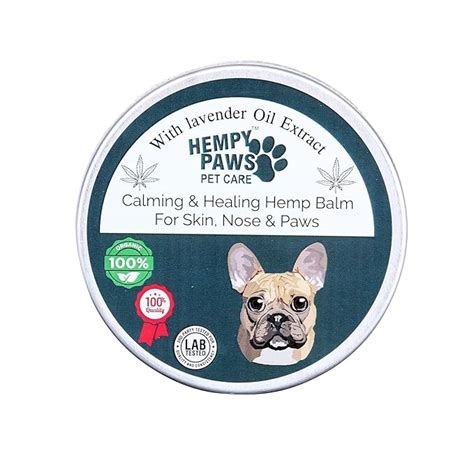 Buy HempyPaws Premium Calming Paw Balm for Dogs & Pets – 50g | Lavender ...