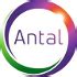 Working at Antal International | Glassdoor