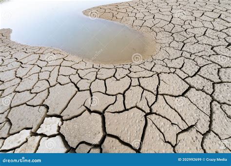 Global Climate Effects, the Effects of Drought, Desertification and Soil Pollution on the World ...