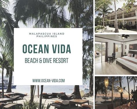 OCEAN VIDA BEACH & DIVE RESORT (Malapascua Island, Cebu Island) - Hotel ...