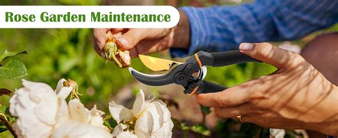 JD FRESH 8 Inch Heavy Duty Gardening Scissor/Plant Cutter for Garden ...