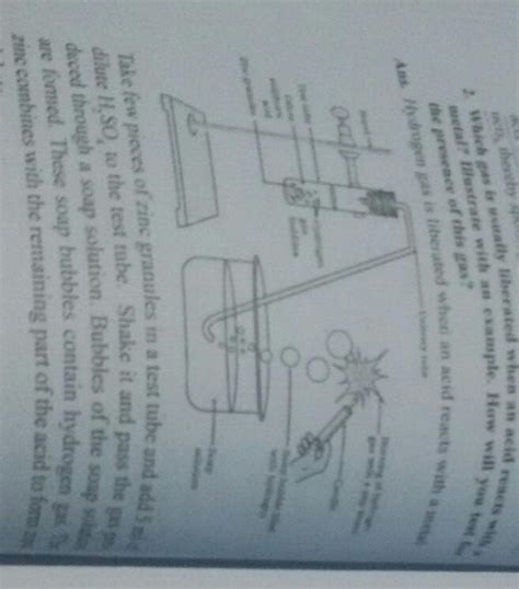 Activity formation of hydrogen gas by action of dilute sulphuric acid ...