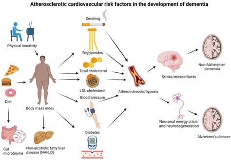 Shared Risk Factors between Dementia and Atherosclerotic Cardiovascular ...