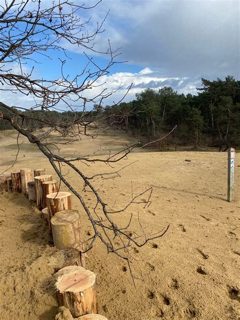 ROOMPOT PARK EKSEL (Hechtel-Eksel) - Lodging Reviews & Photos - Tripadvisor